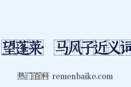 望蓬莱·马风子近义词是什么意思的图片